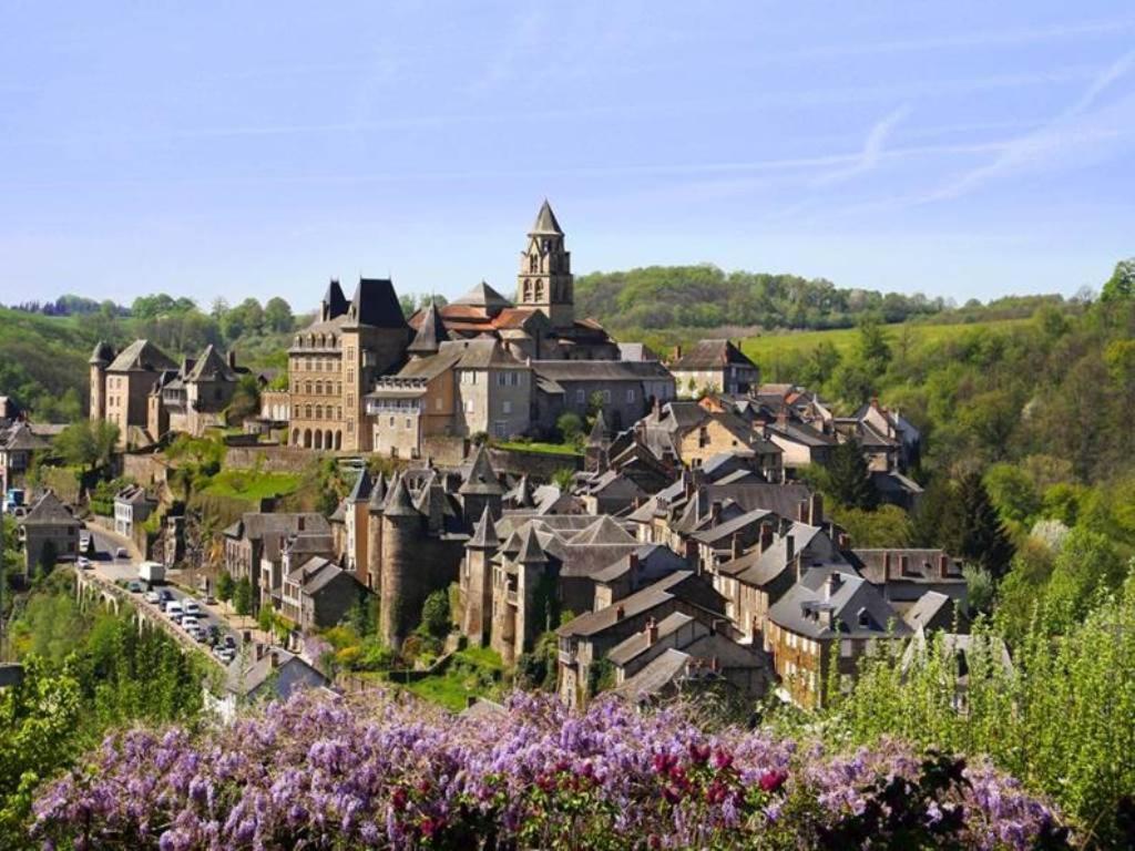 Les Gites Du Gauliat Espartignac Exterior foto